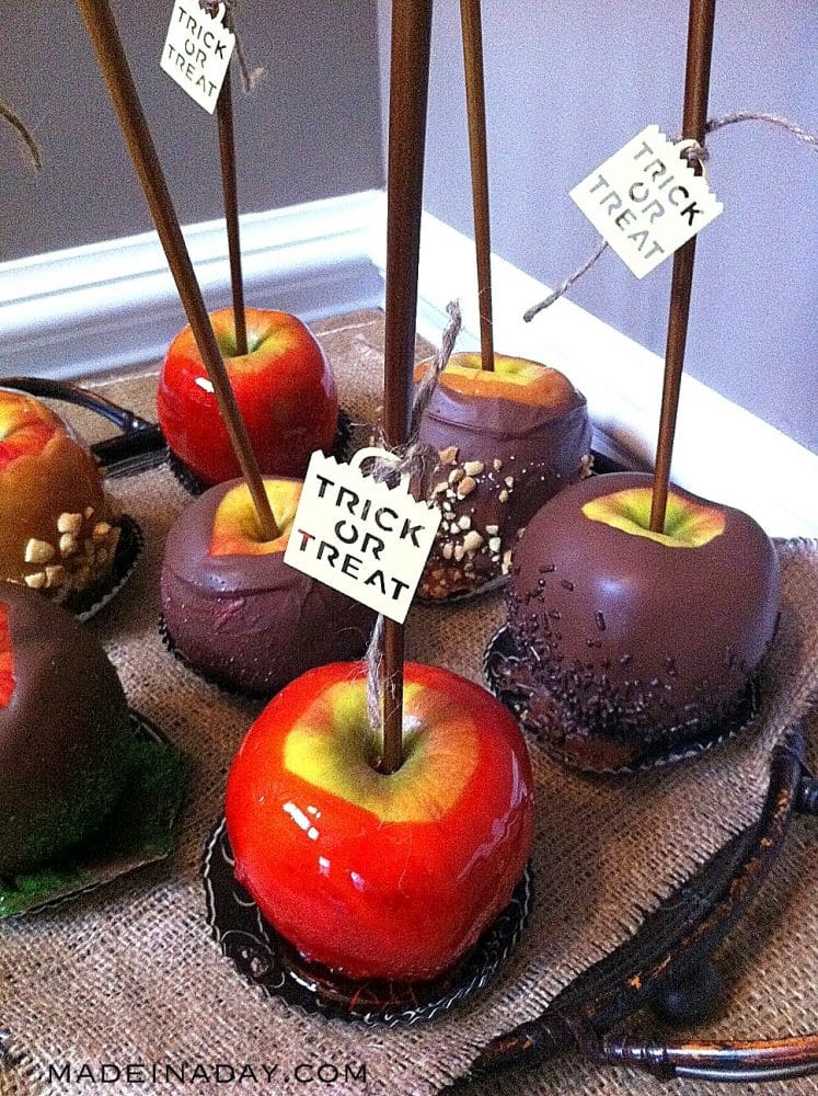 Fall Candy Apple Recipes