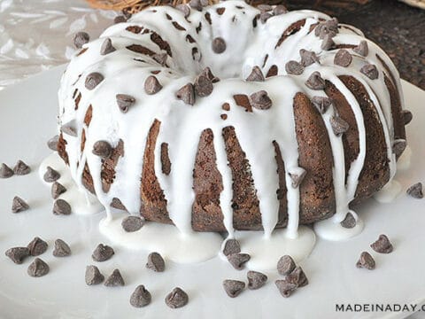 Chocolate Chip Chocolate Cake