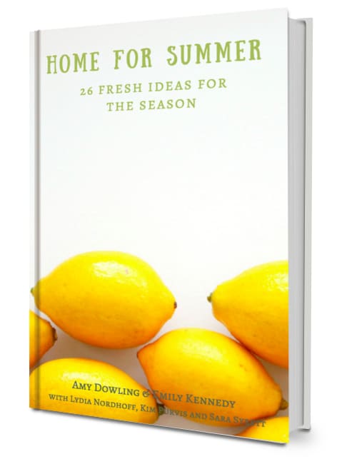 HOME FOR SUMMER eBOOK 2017