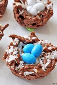 Chocolate Coconut Bird Nests Simple No-bake Recipe