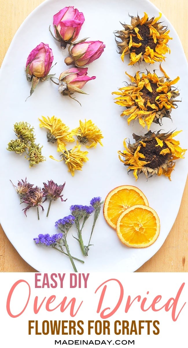 Effortless Oven Dried Flowers For Crafts Made In A Day