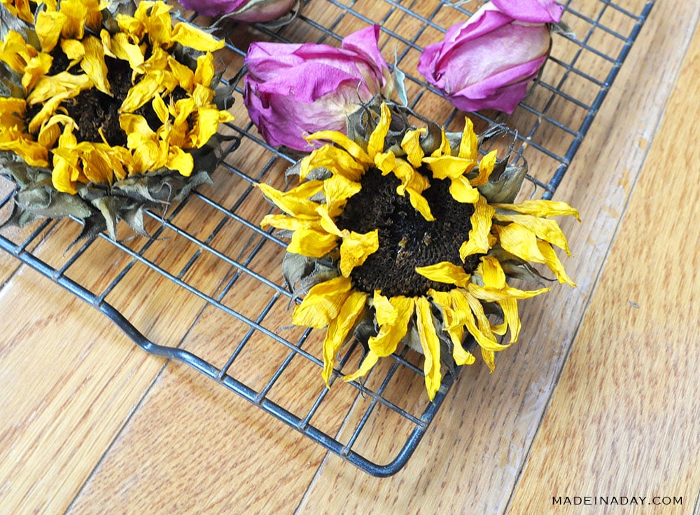 Effortless Oven Dried Flowers For Crafts