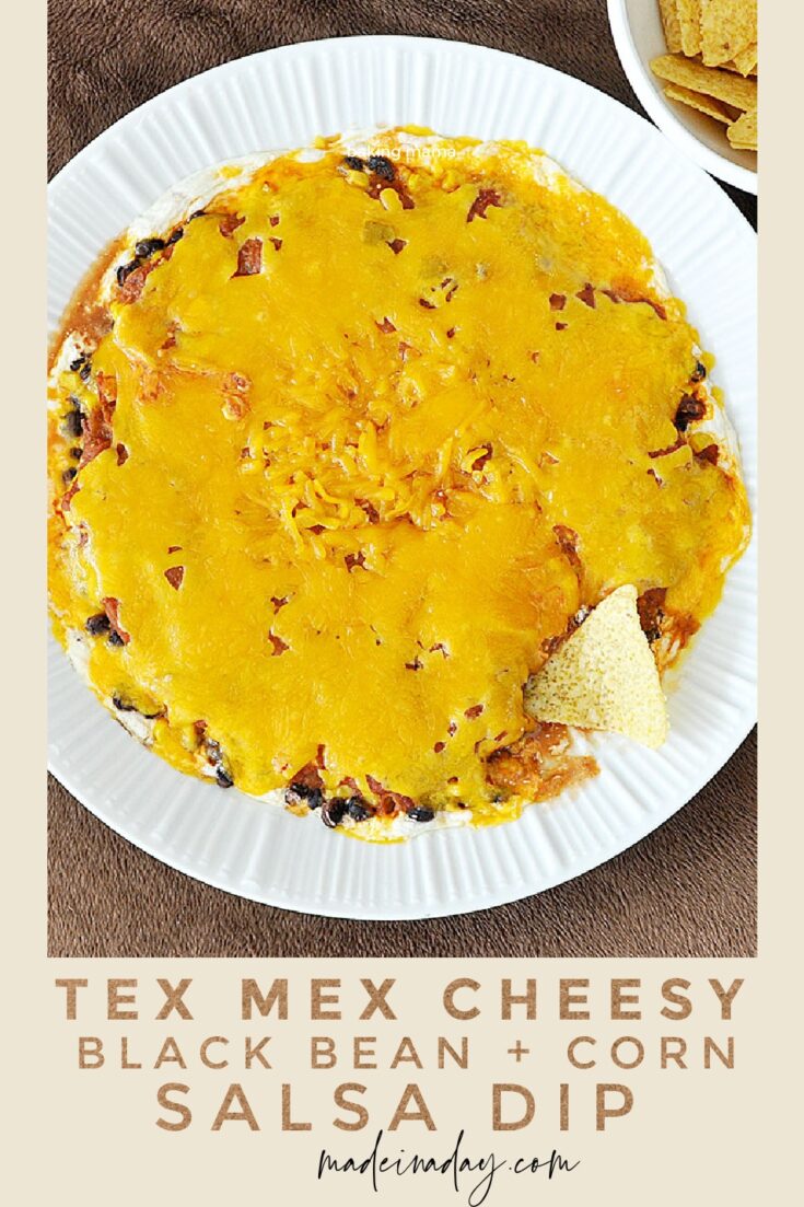 Layered Tex Mex Cheese Dip With Salsa Made In A Day
