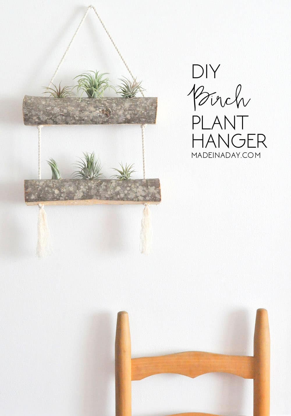 Birch Hanging Air Plant Holder DIY