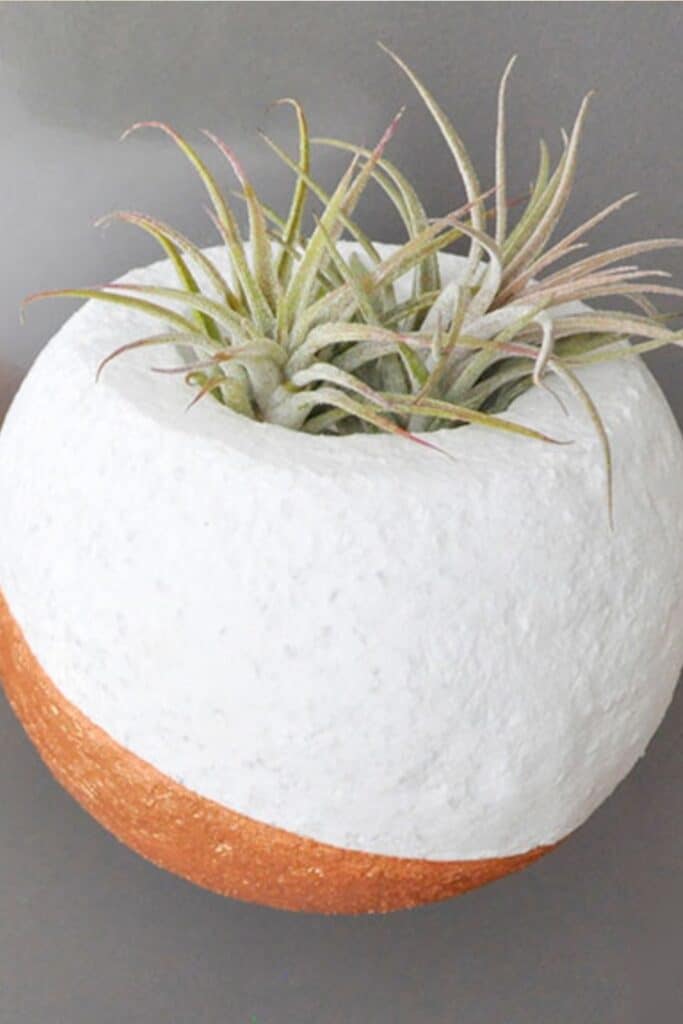 DIY Magnetic Air Plant Hanger