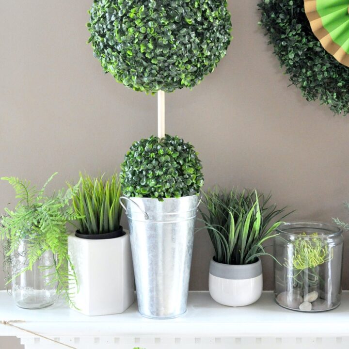 Image for DIY Boxwood Topiary for St Patricks Day Mantle