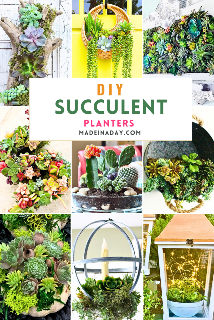 DIY Succulent Planters to Make this Summer Collection
