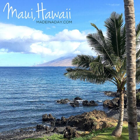 Image for Summer Vacation in Maui Hawaii