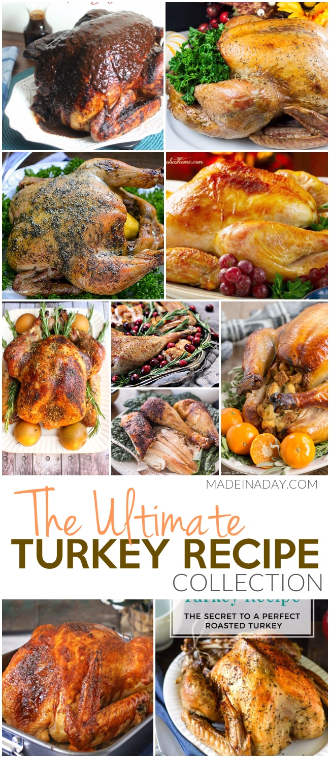 Ultimate Thanksgiving Turkey Recipe Collection | Made In A Day