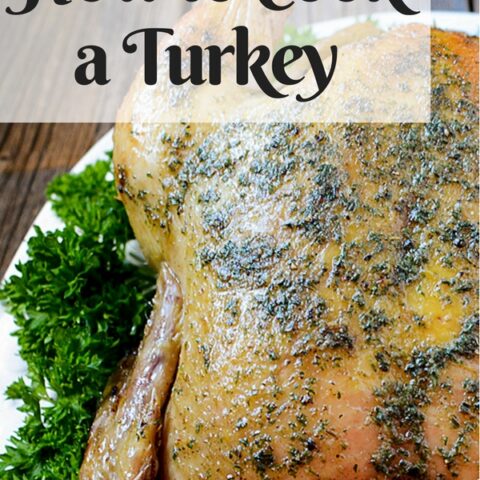 Image for How to Cook a Turkey