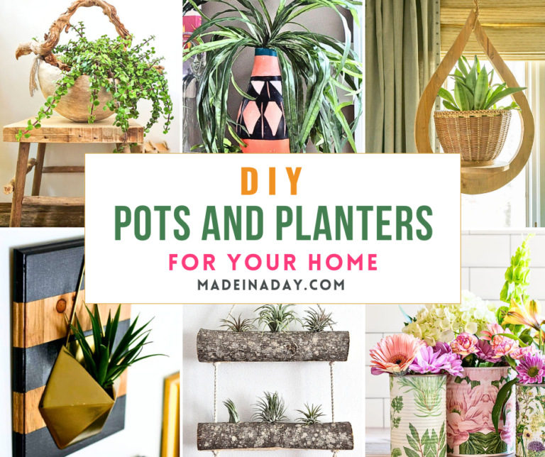 DIY Pots and Planters for Your Home