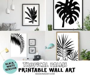 Black and White Tropical Palms Prints