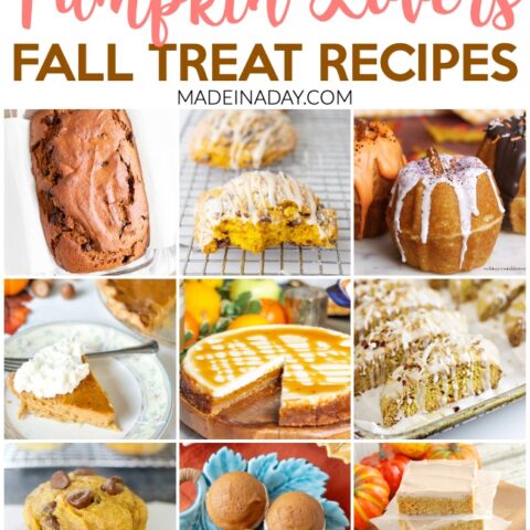 Image for Pumpkin Lovers Fall Treat Recipe Collection