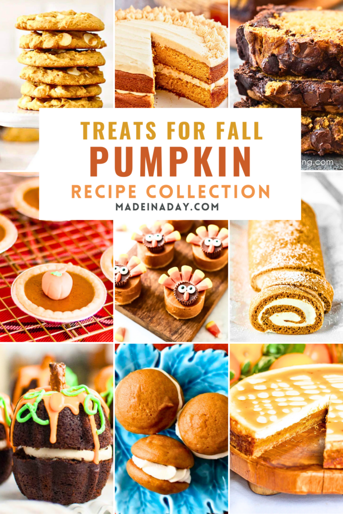 Pumpkin Recipe Treats for Fall Collection