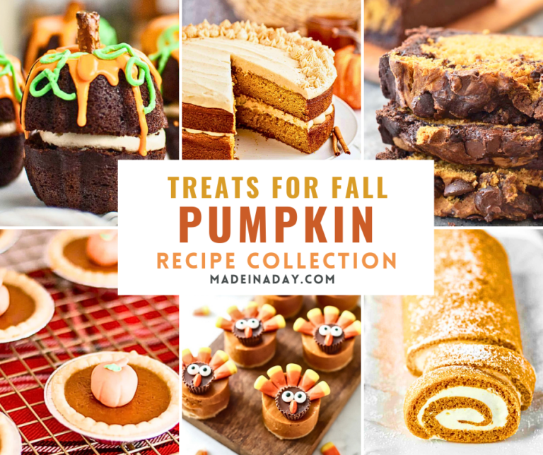 Pumpkin Recipe Treats for Fall