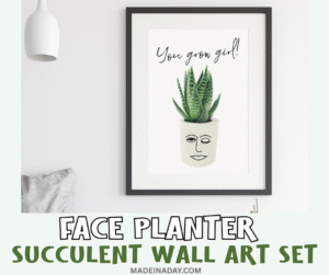 Face Planter Succulent Wall Art