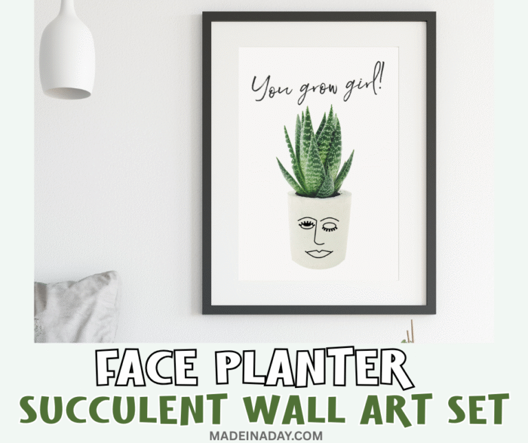 Face Planter Succulent Wall Art