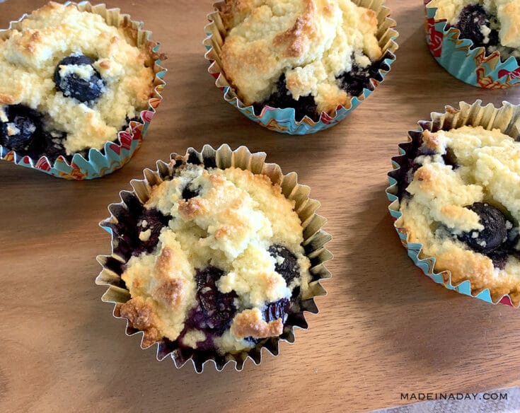 Perfect Low Carb Blueberry Muffins | Made In A Day