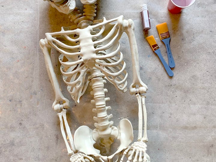 How to Age a Skeleton Prop