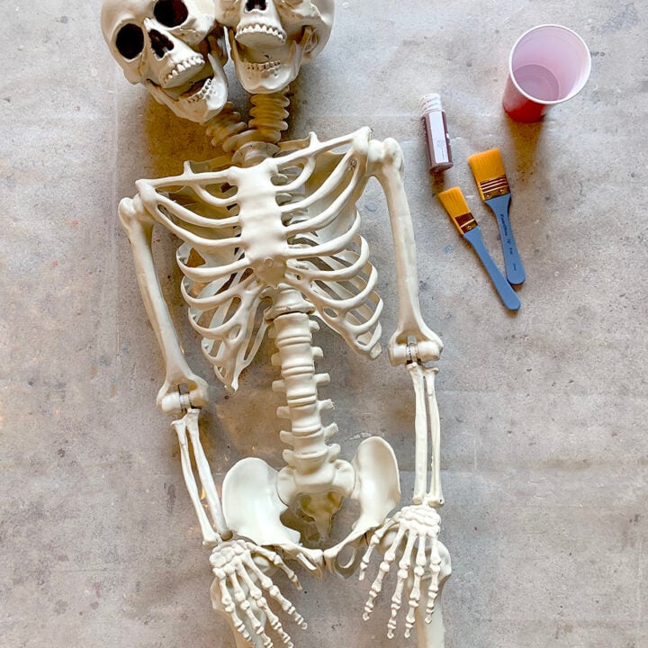 Mesmerizing Two Headed Skeleton Halloween Decor 11 How to Age a Skeleton Prop