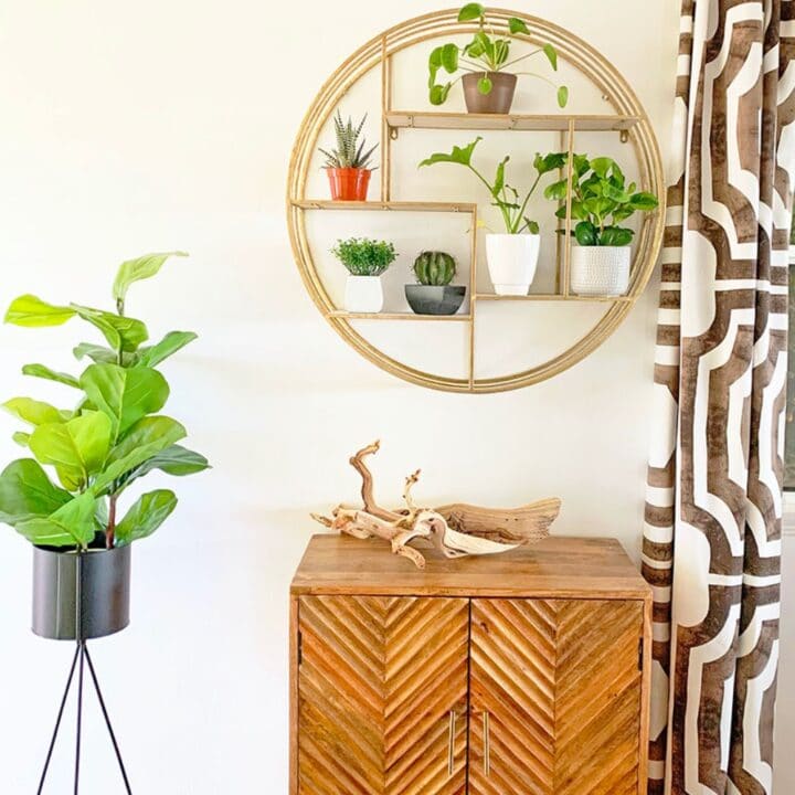 Image for Modern Surf Shack Entryway with Plants