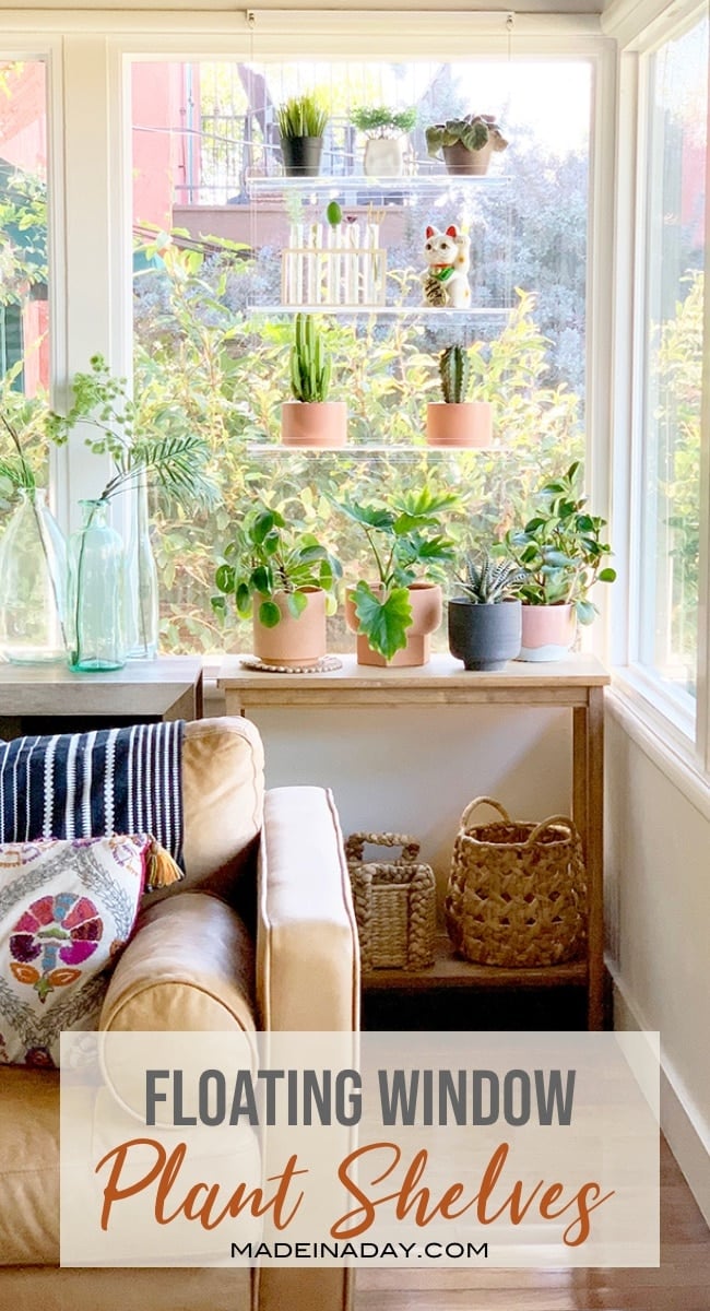 Catching Rays With Window Plant Shelves Made In A Day