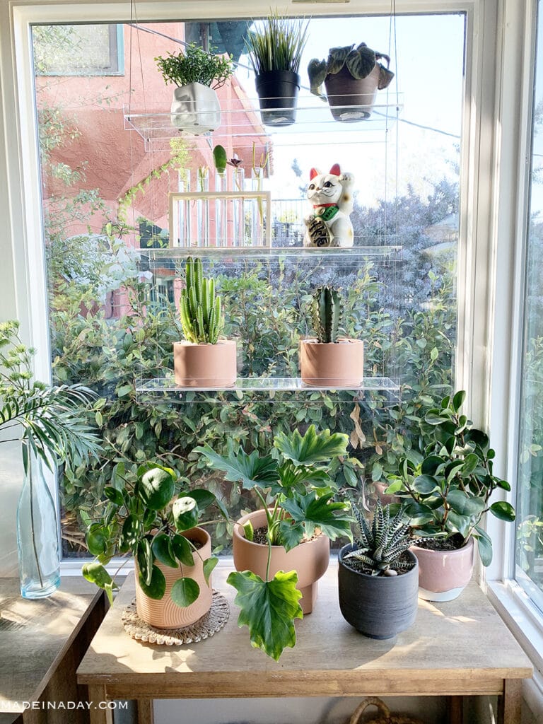 Window deals plant shelving