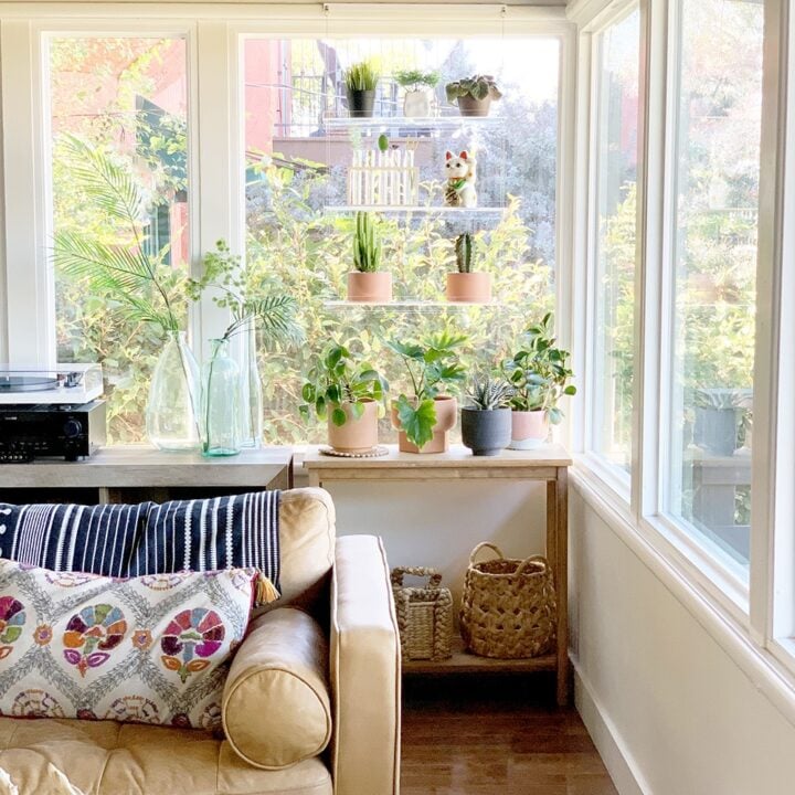 Image for Catching Rays with Window Plant Shelves