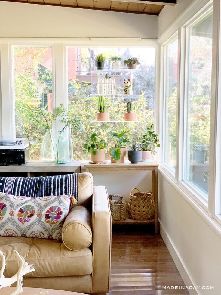 Catching Rays With Window Plant Shelves