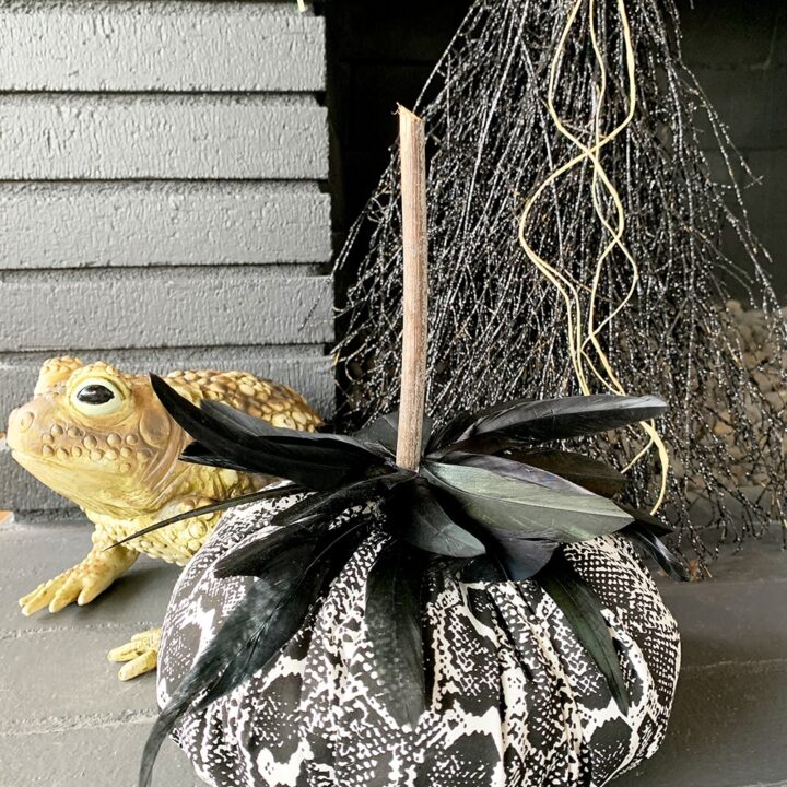 Image for Snakeskin Fabric Feather Pumpkins