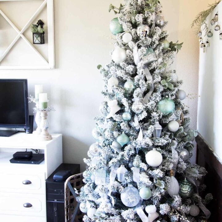 Image for Frosty Minty Christmas Trees Tour