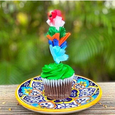 Image for DIY Fiesta Fringe Pinata Bat Cupcake Topper
