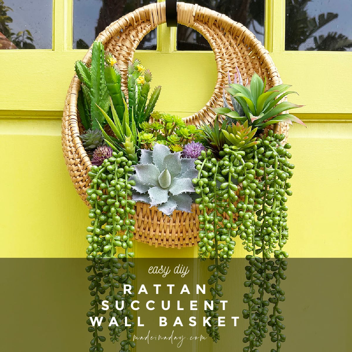 Image for Rattan Succulent Wall Hanging Planter Wreath