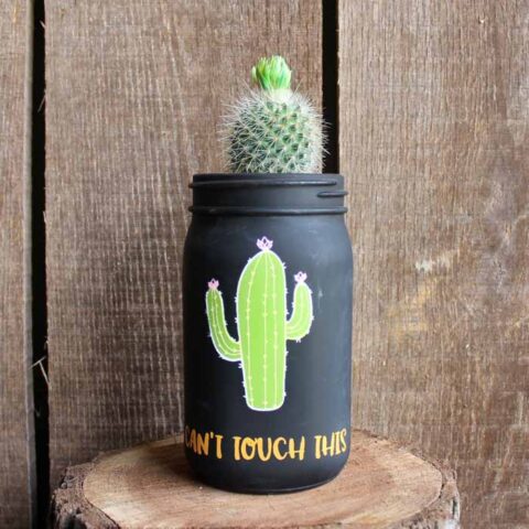 Image for Cactus Planter Pot from a Mason Jar