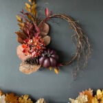 cropped-IMG_3569NEw1000.jpg