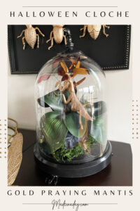 Halloween Terrarium Cloche for Praying Mantis Specimen