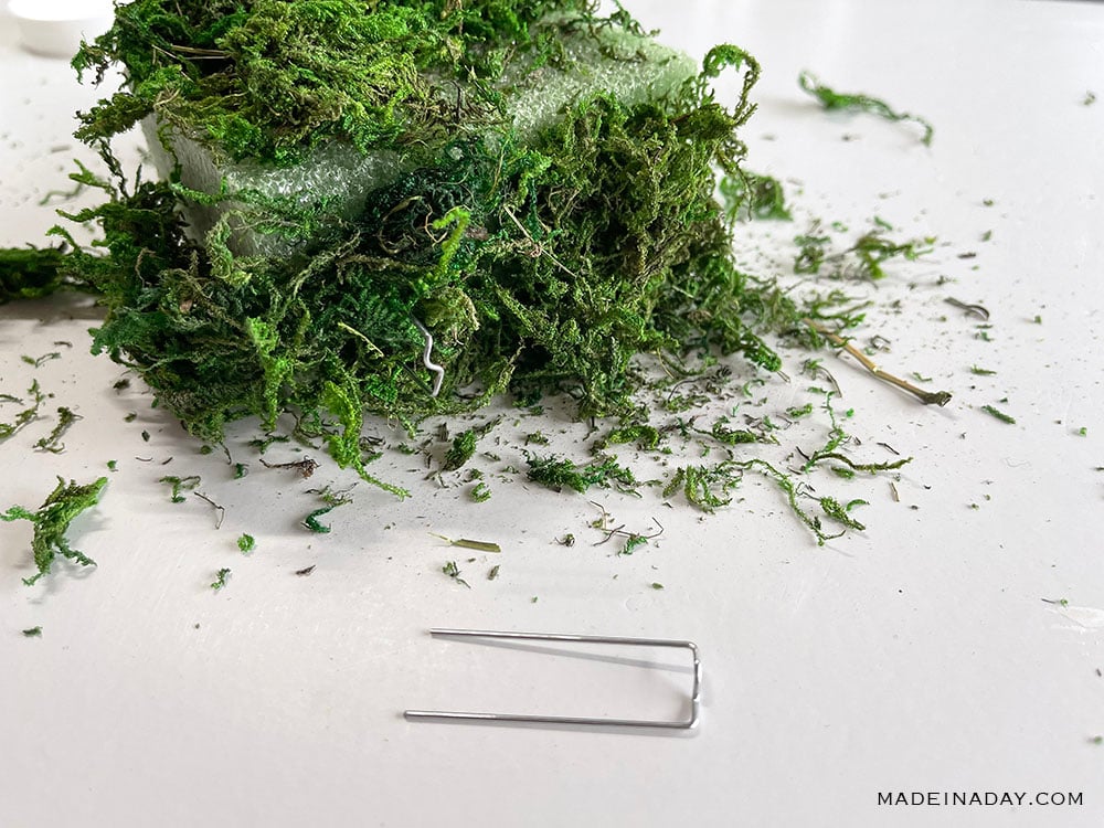add moss to foam