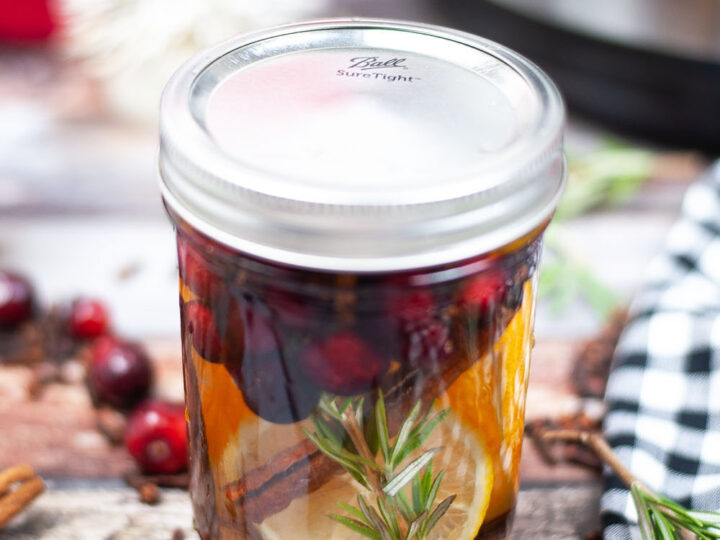 Christmas Potpourri in an Instant Pot
