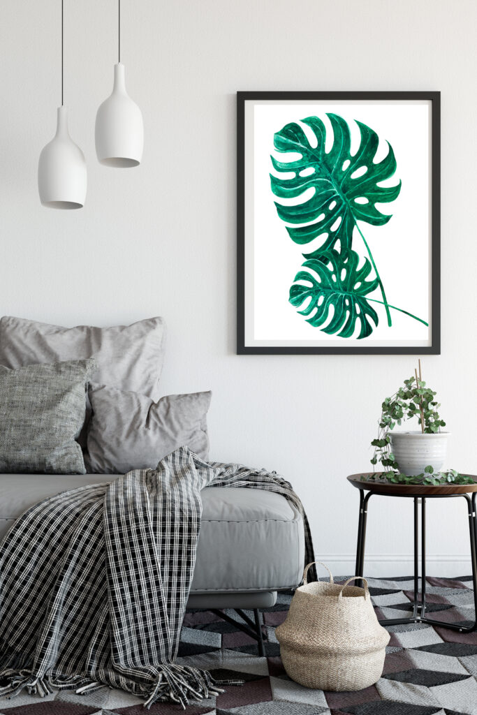 Monstera 1