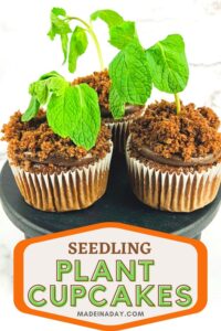 Garden Plant Cupcakes for Earth Day