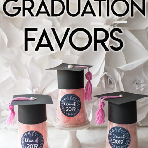 Image for Cotton Candy Favors for a Graduation Party