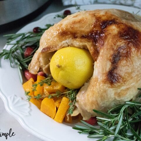 Image for Instant Pot Turkey Breast