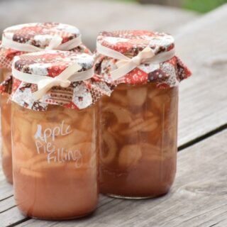 Image for Homemade Apple Pie Filling to Can!