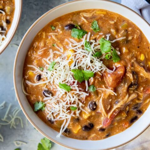 Image for Tex-Mex Turkey Soup (or Chicken)