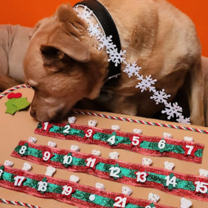 Image for DIY Dog Treat Advent Calendar