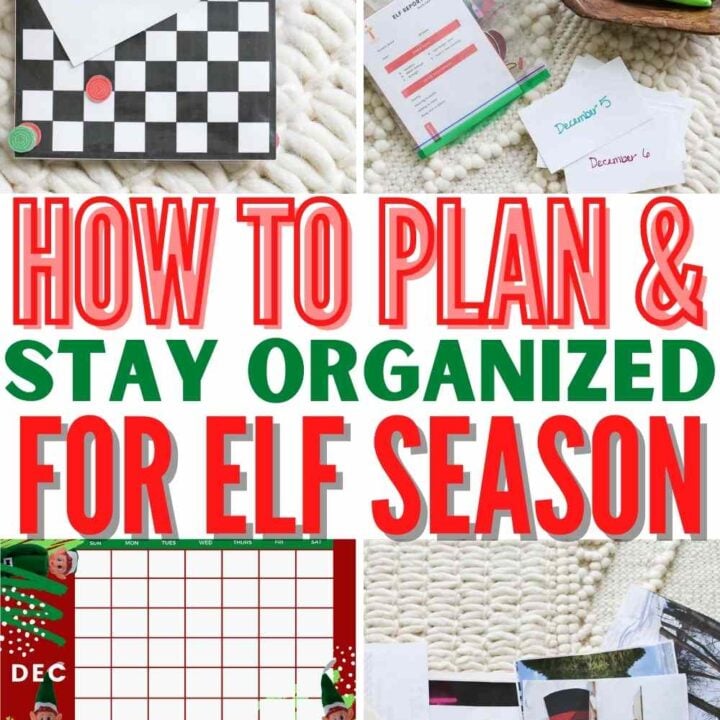 Image for Elf Planning and Organizing Ideas