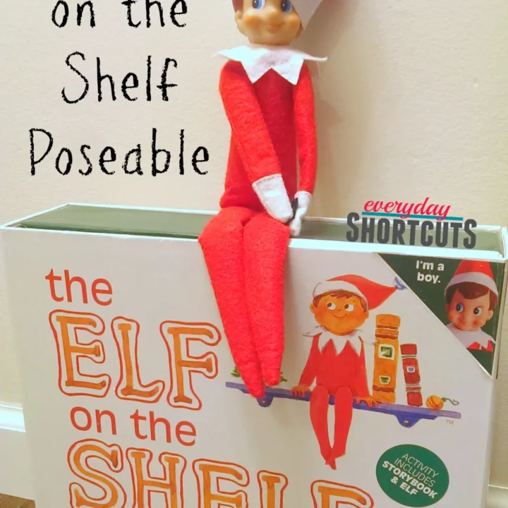 Image for How to Make Elf on the Shelf Poseable
