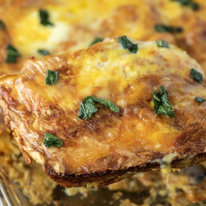 Image for Leftover Turkey Enchiladas Recipe