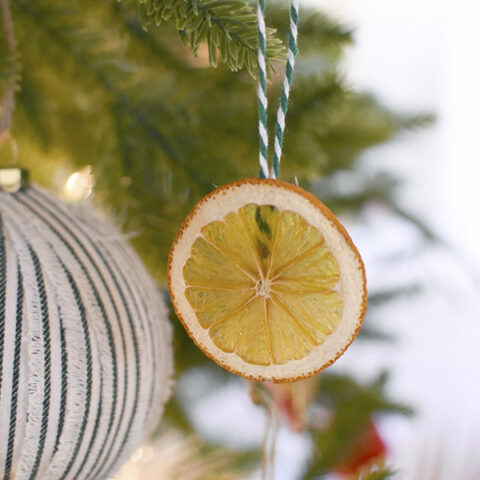 Image for How to dry Orange Slices for decoration