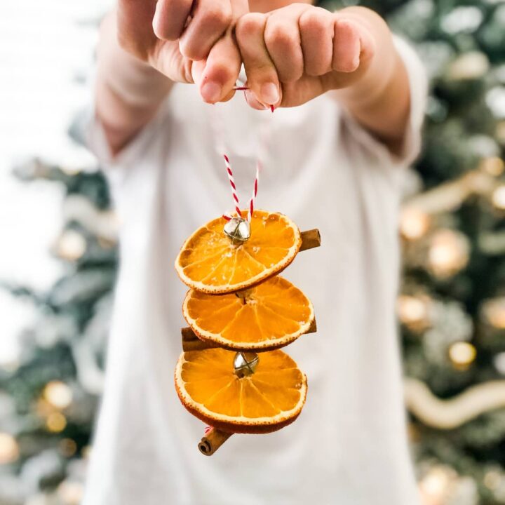 Image for Cinnamon Stick and Orange Slice Ornaments